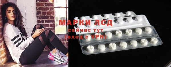 ECSTASY Богородицк